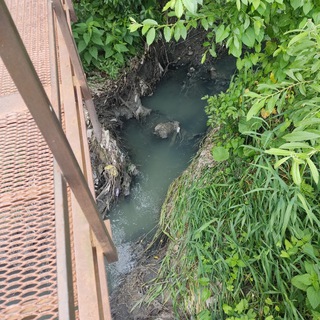 Слив канализации в Клязьму в Щёлково (@Klyazma_Schelkovo)!