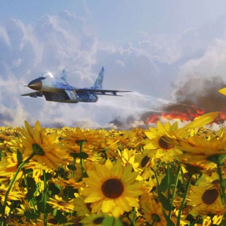 Соняшник🦅