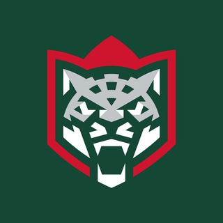 ХК «Ак Барс» ✔