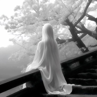 Чат общения | S&A