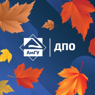 АмГУ.ДПО