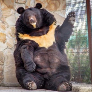 абуз, темки и крипта