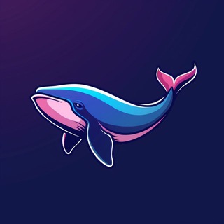 Whale Proxy | Free proxy