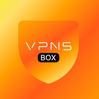 VPNS Box