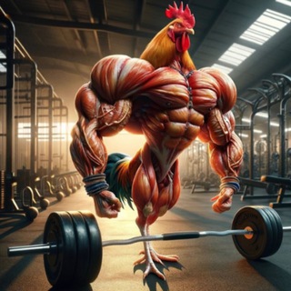 PROMOÇÕES DE SUPLEMENTOS - MERCADO LIVRE, AMAZON, SHOPPE