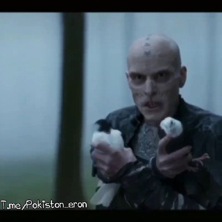 []» Kabutar ishqibozlari «[]