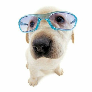 Чатик Общения ❤️