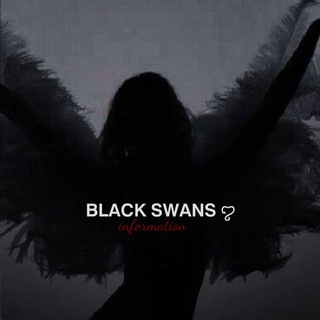 𝐁𝐋𝐀𝐂𝐊 𝐒𝐖𝐀𝐍𝐒 𝐈𝐍𝐅𝐎 ꨄ︎ [ᤋᥲκρыᴛ]
