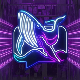 Whale Coin Talk ✔