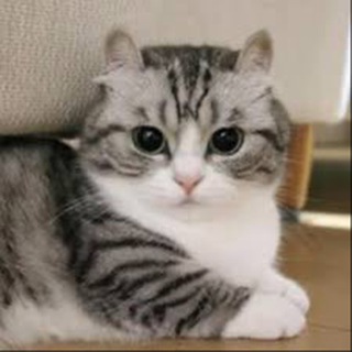 Поиск тиммейтов | Фортнайт