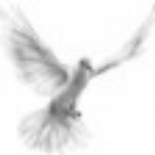 Новое Резюме