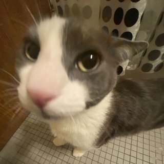 Взаимный пиар-тгк