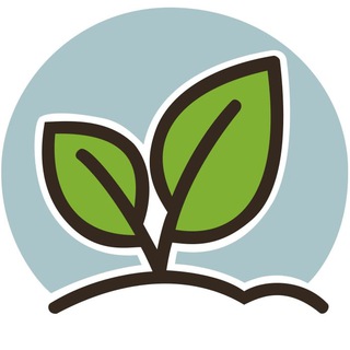 Русское поле