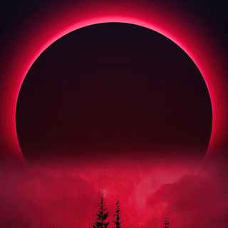 Evil wild казино