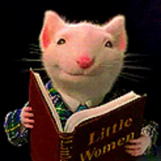 Записки о самых разных книгах