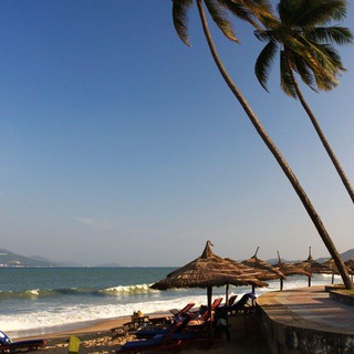 Вьетнам 🇻🇳 Чат | Нячанг | Услуги | Барахолка