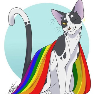 🏳‍⚧ЛГБТ чат знакомства🏳‍🌈