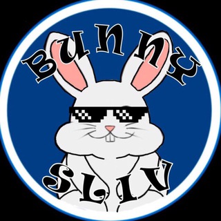 Сливы курсов 2023-2024 Летний интенсив