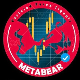 METABEAR FOREX 📈📊