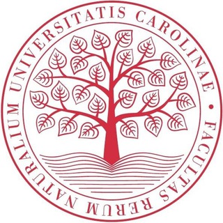 Чат студентов Карлова университета | Прага Чехия