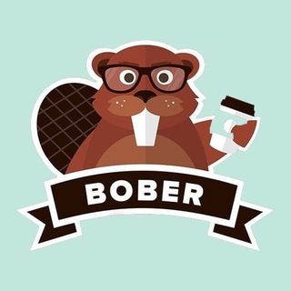 BOBER | СЛИВЫ КУРСОВ