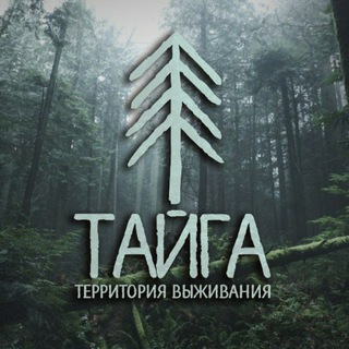 Тайга. Территория выживания