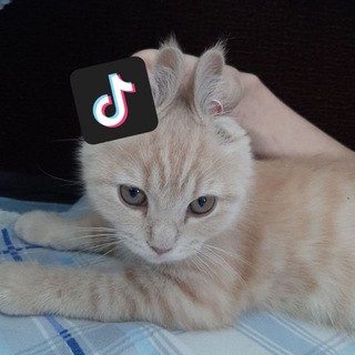 калингер, давай поБРАТЦки