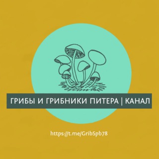 🌲 Грибы и Грибники Питера / Спб / Карелии / Лен. Области (Отчеты)