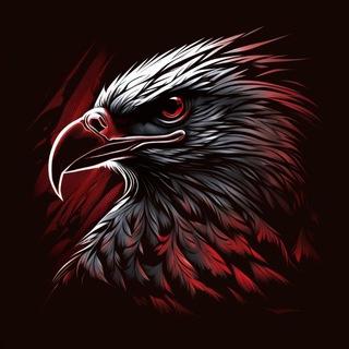 𝐒𝐊𝐘𝐂𝐎𝐃𝐄🪽official