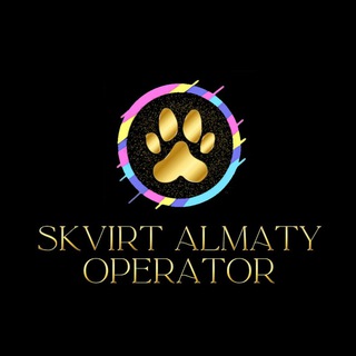 SKVIRT ALMATY