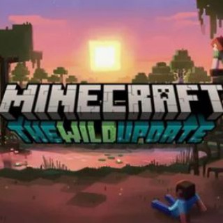 Бесплатный пиар майнкрафт серверов и не только.