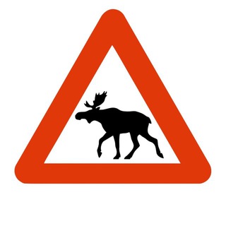 ПривидеЛОСЯ