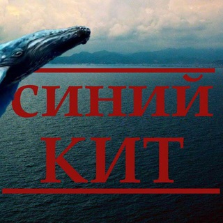 синий кит