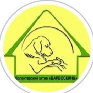 ВОЛОНТЕРСКИЙ АКТИВ «БАРБОСКИН&»