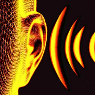 Сигнал │Z│ Шум