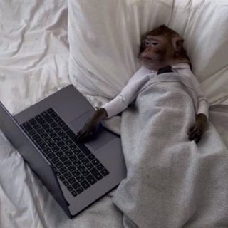 monkey | Войти в IT | Сливы курсов