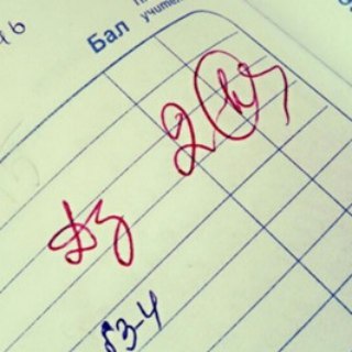 Дневники челябинских политиков