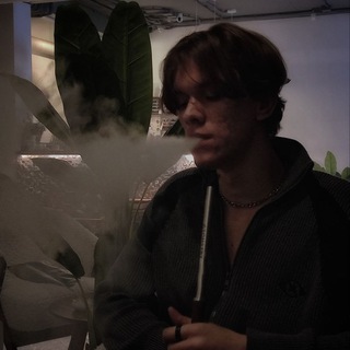 Arko – Инфографика| СЕО | Аналитика