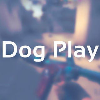 Dog Play