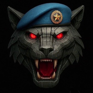 "БАРС-САРМАТ" Центр специального назначения (добровольческий, беспилотных систем) #БарсСармат / #ЦарскиеВолки