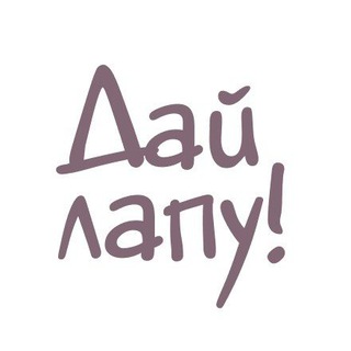 Дай Лапу Зоогостиница 🖐