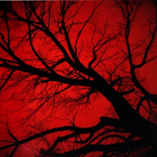 Тор. Просто Тор