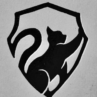 cat_vpn🐈‍⬛