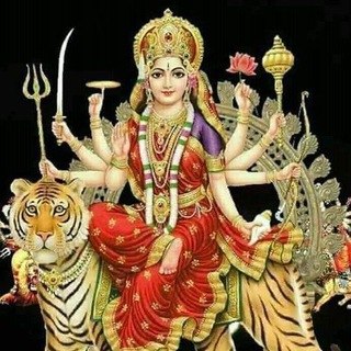 disawar fixer💣💣🤑🤑