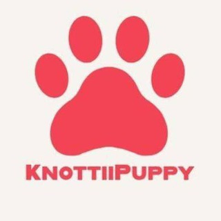 Dogknotting Sandra