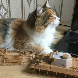 Красный Милитарист