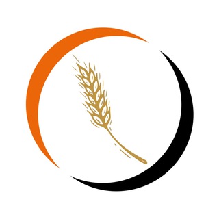 ЛПР: Алтайский край (публичный чат)