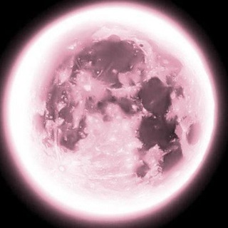 𝗧𝗶𝗻𝘆 𝗠𝗶𝗿𝗮𝗰𝗹𝗲𝘀 ♡