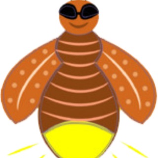 萤火虫vpn 5群。稳定VPN交流