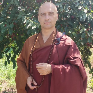 Rev Josho Adrian Cirlea 🙏